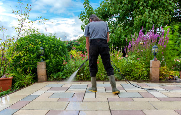 Best Fence Cleaning  in Pleasant Grove, AL