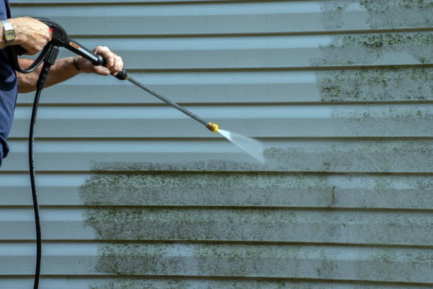 Best Building Exterior Washing  in Pleasant Grove, AL